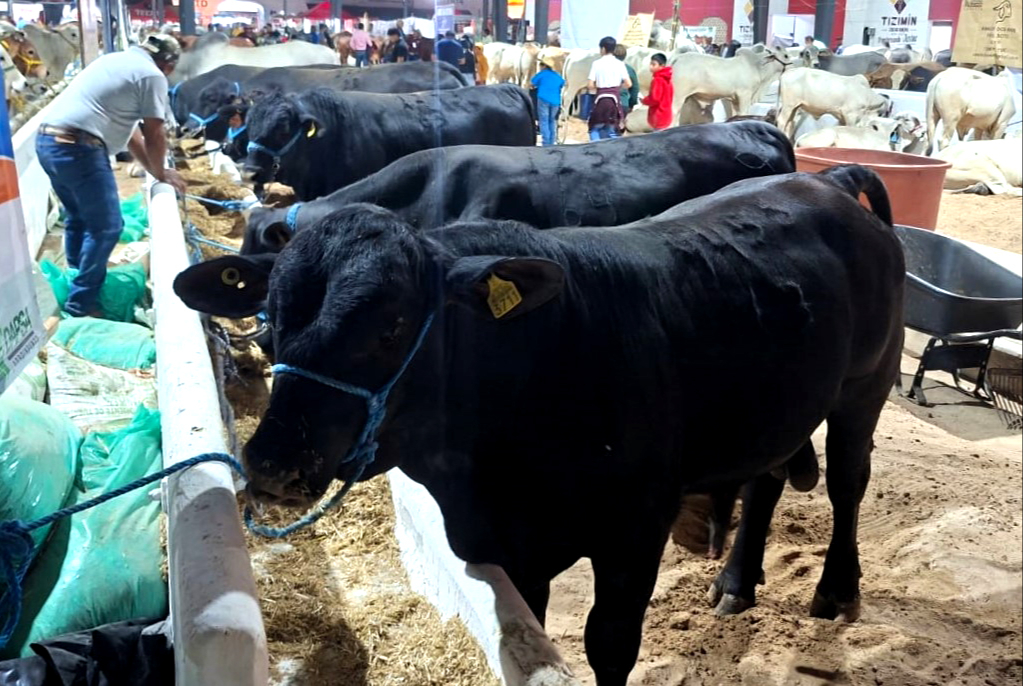 nconformes destacaron que existen empleos en riesgo, así como el desarrollo de una actividad que históricamente ha sido importante en el centro y sur del estado.