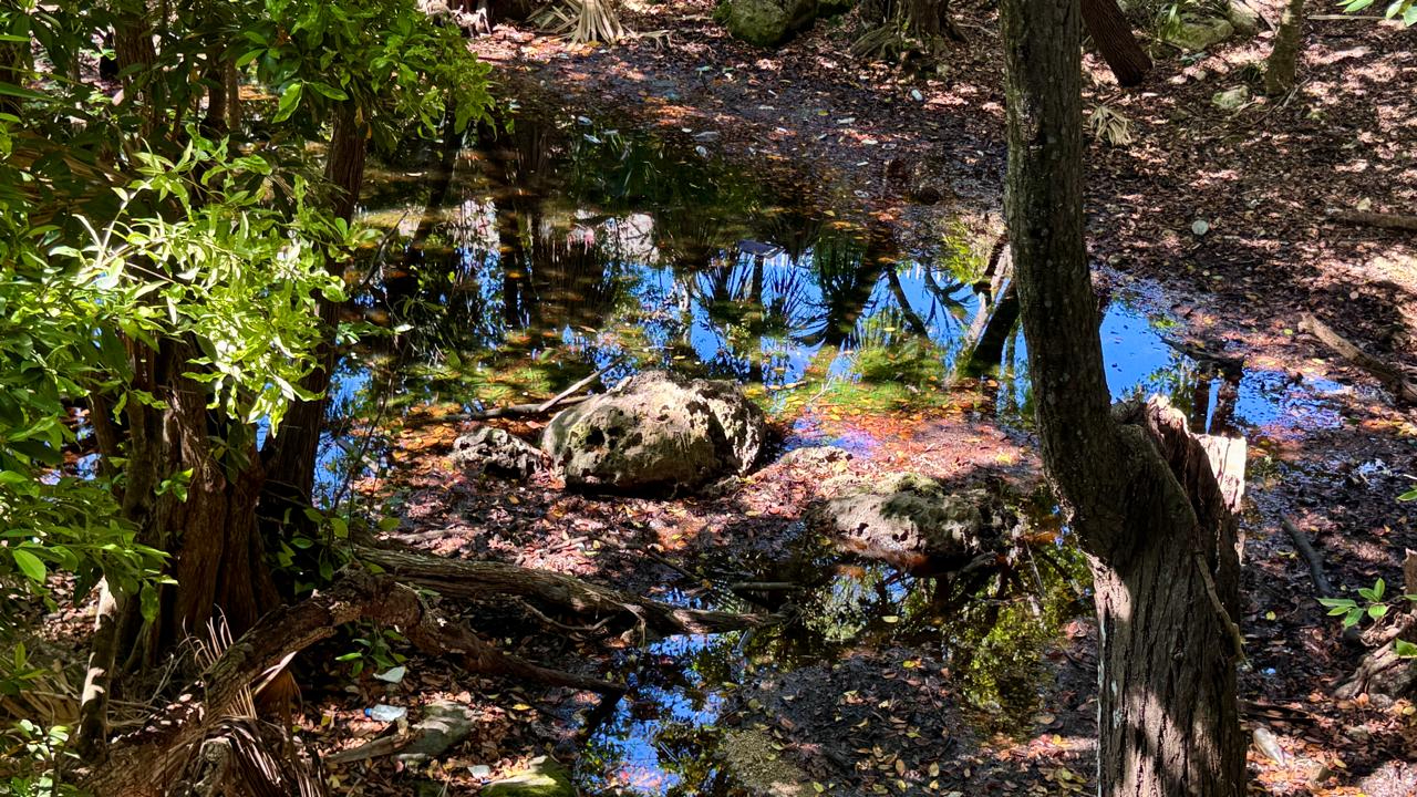 La falta de drenaje y plantas de tratamiento suficientes agrava el problema en la Riviera Maya
