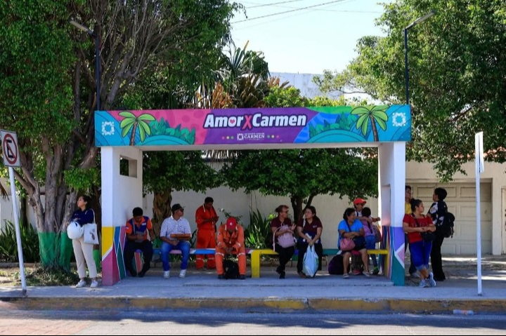 Taxistas cumplen la ley, pero “Amor por Carmen” circula sin permisos