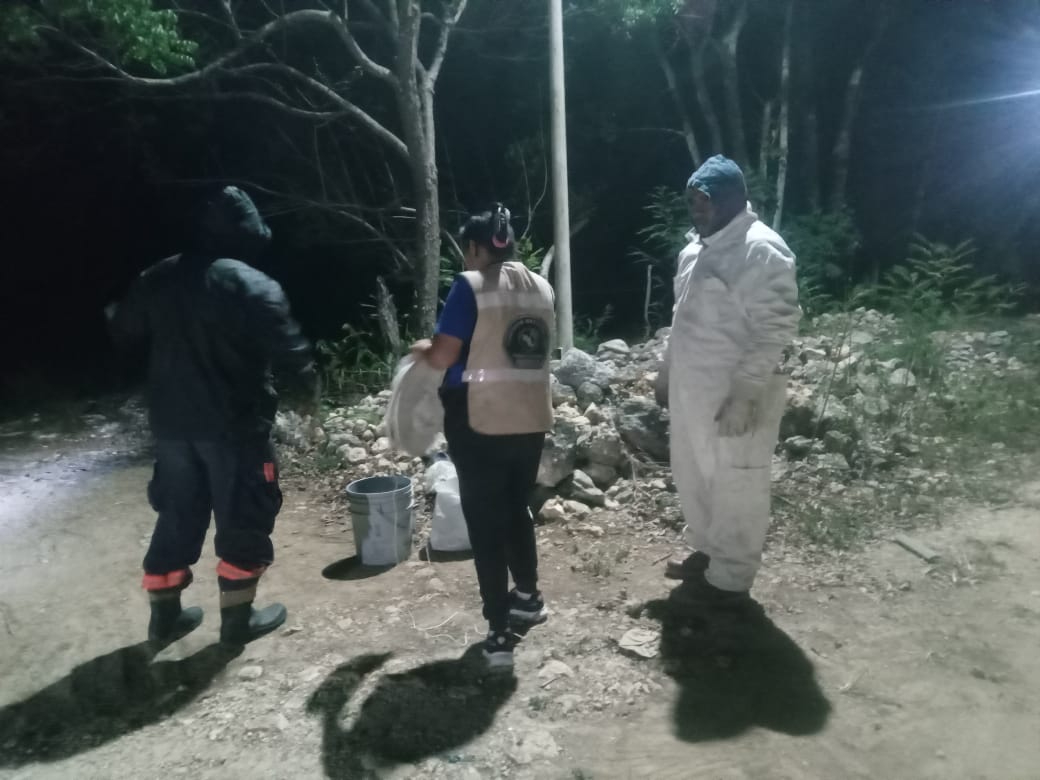 Elementos del Centro Nacional de Emergencias, la comunidad y el delegado aplicaron métodos tradicionales de dispersión