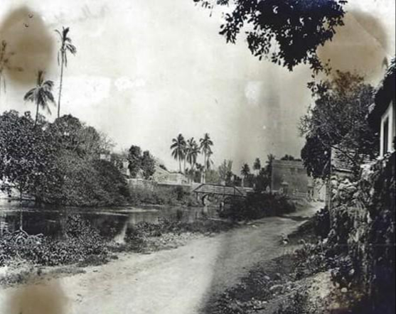 En los años 60 inició la transformación urbana que convirtió el estero en avenida.