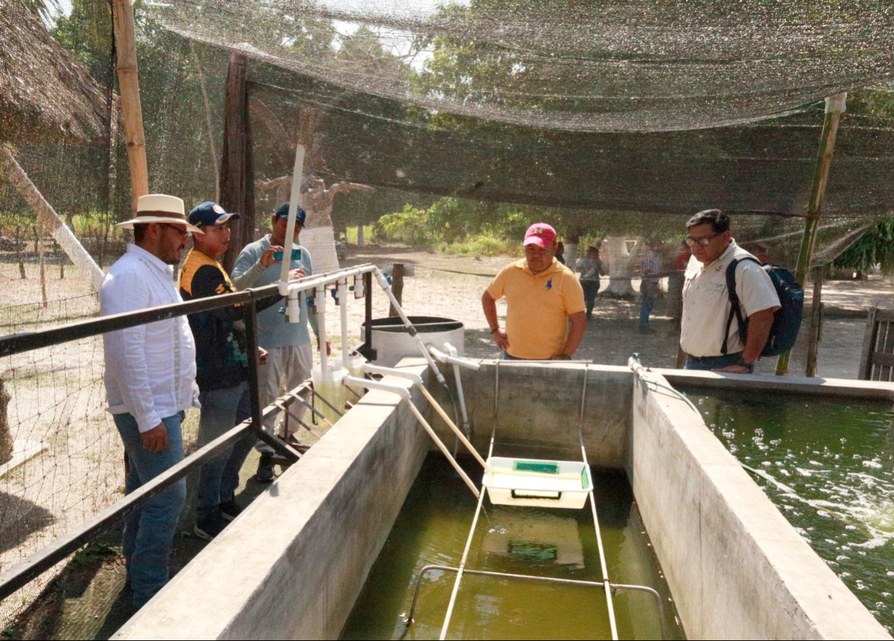 Acusan que intentaron incluir cooperativas ajenas e incluso provenientes de Tabasco.