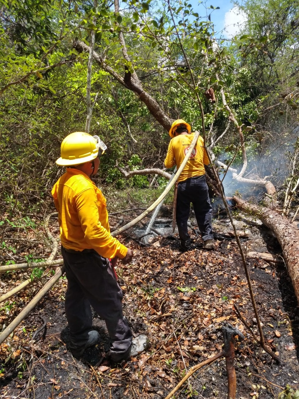 Autoridades señalaron que hasta el momento el fuego registrado en Othón P. Blanco no representa riesgo en zonas habitadas; descartaron evacuaciones.