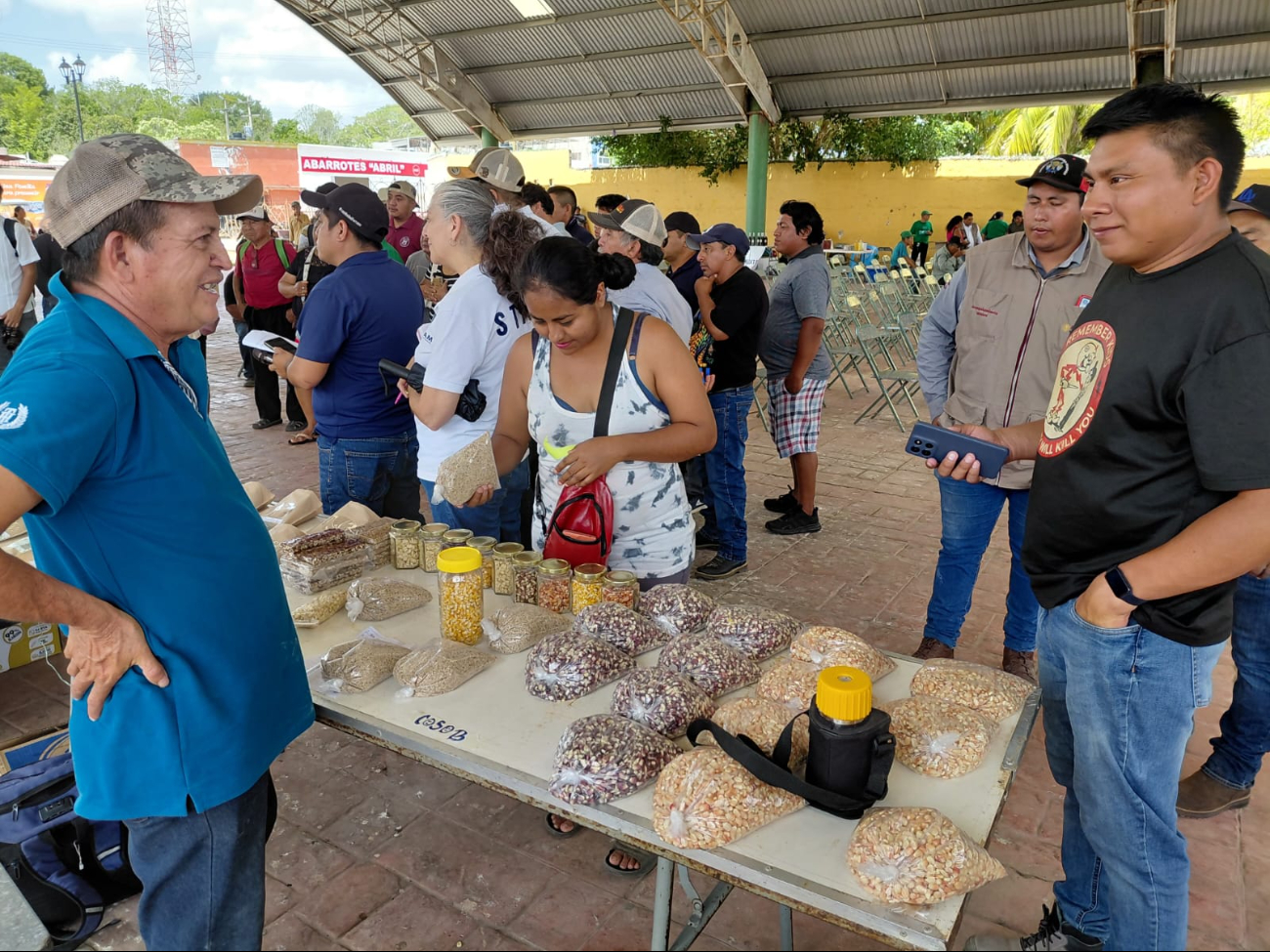 Campesinos mayas buscan preservar semillas nativas ante avance de híbridas.