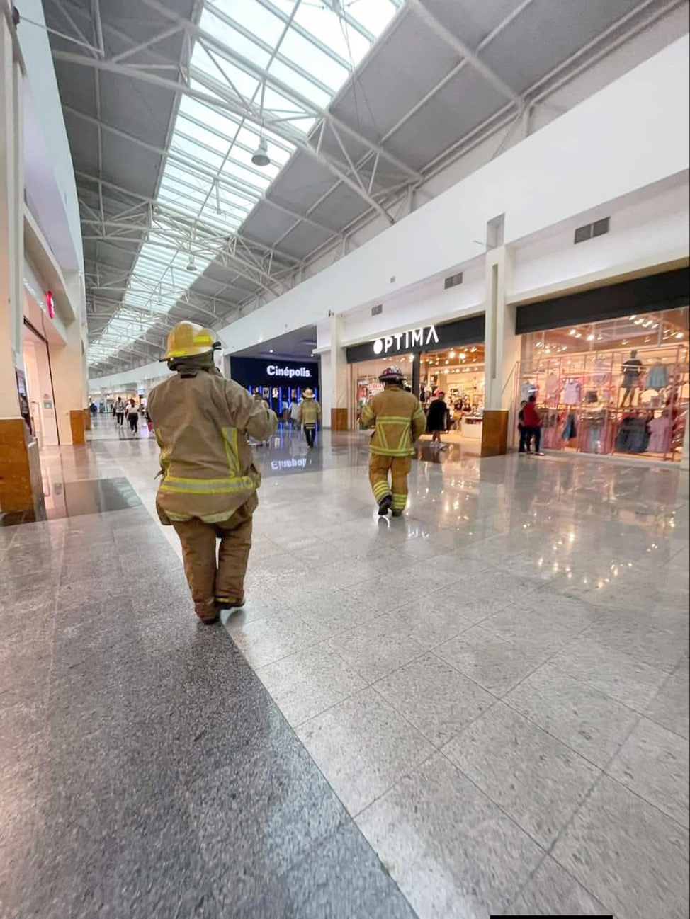 Bomberos alertan por invasión de enjambres en zonas urbanas de Chetumal