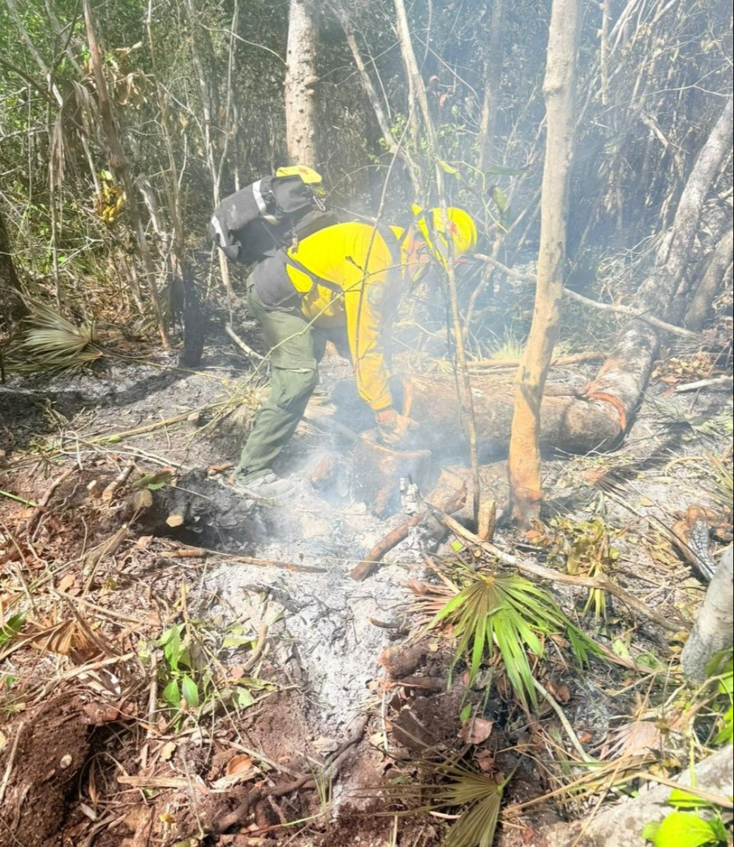Autoridades confirmaron la liquidación total del incendio forestal.