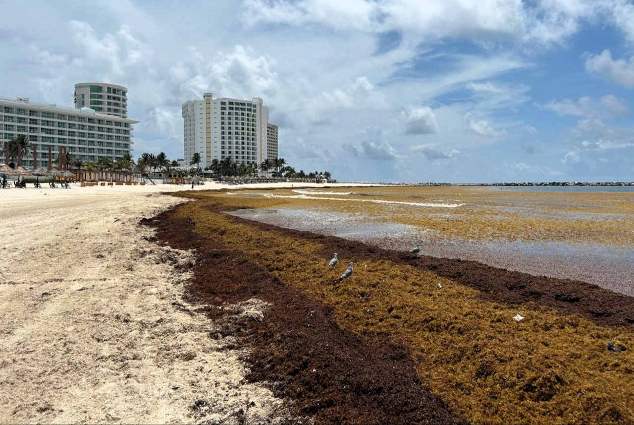 En Punta Cancún y Gaviota Azul concesionadas a hoteles abandonaron la limpieza