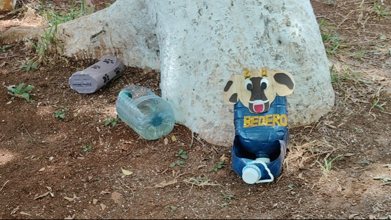 La iniciativa busca que la comunidad cuide estos puntos de hidratación y apoye a los animales