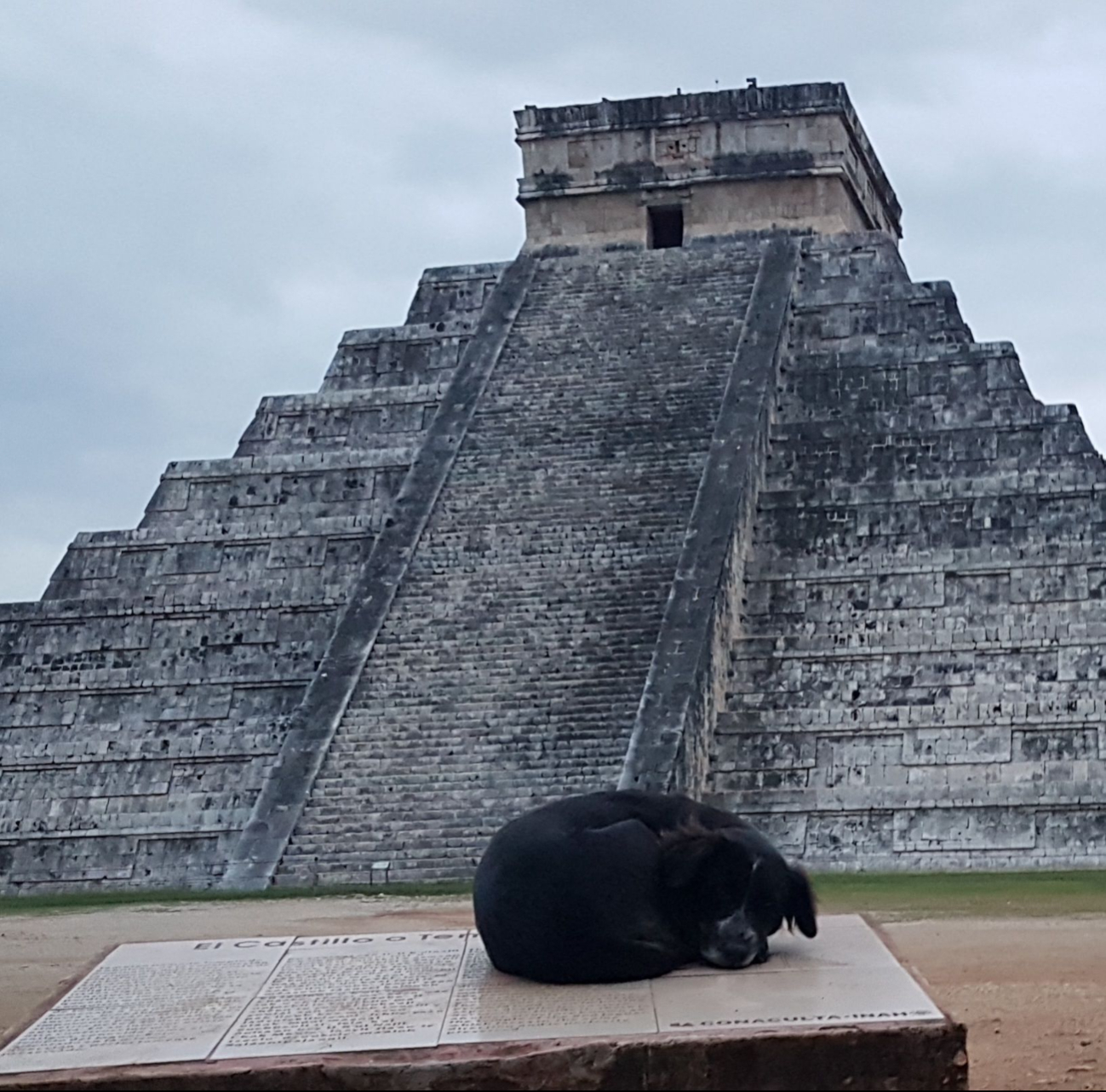 Silenciosa y noble, Tomasita dejó huellas eternas entre las piedras de Chichén Itzá