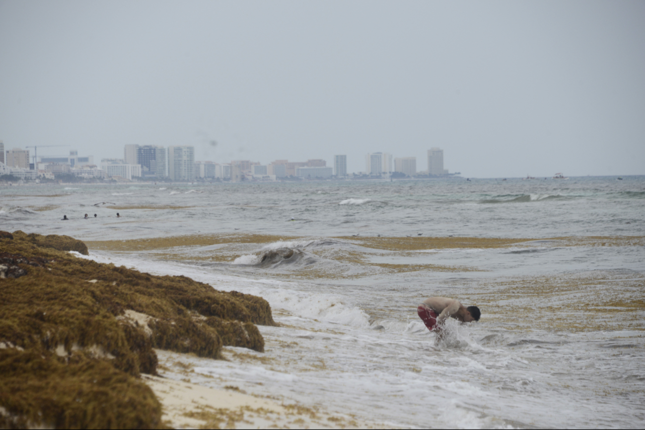 Tan sólo en la zona norte de Quintana Roo hay 64 puntos críticos, según datos de la Red de Monitoreo