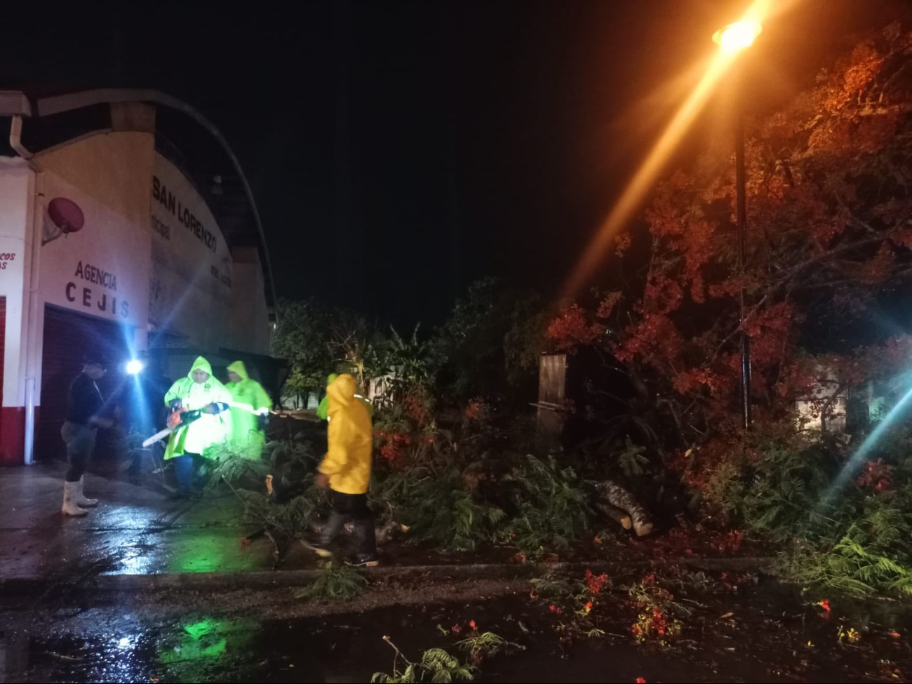 Árboles cayeron en diversos puntos de Umán