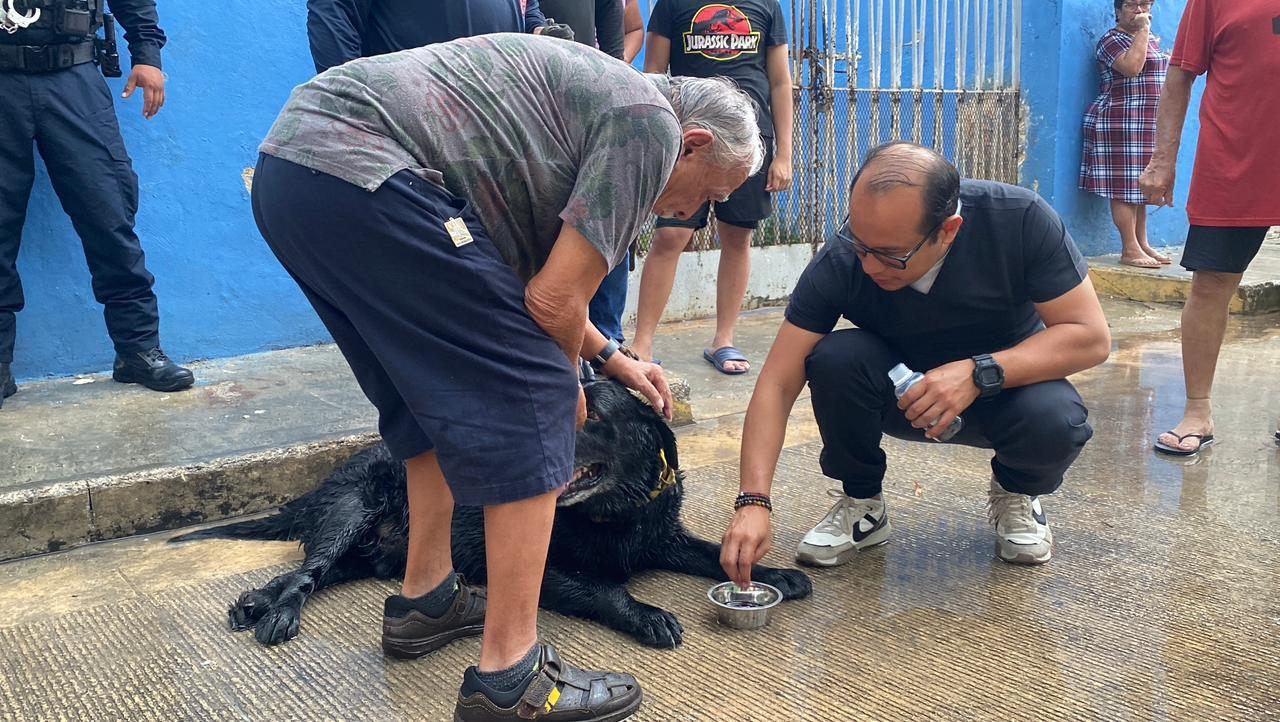 Un veterinario estabilizó al animal tras inhalar humo.