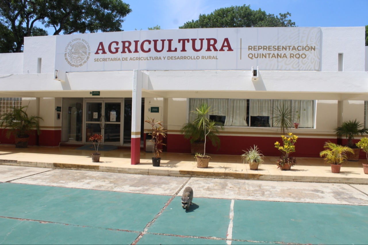 El personal comentó que, pese a no recibir su dinero en lo que va del año, continuaron con labores administrativas y operativas en comunidades