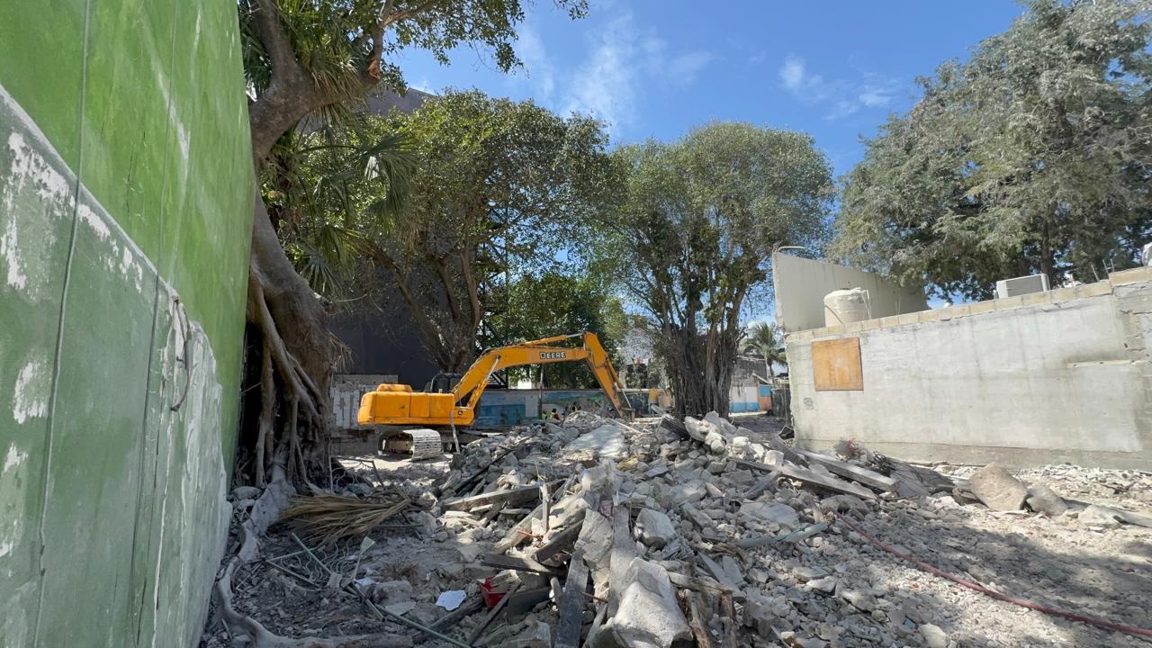 A casi dos meses de la tala del árbol milenario, autoridades municipales aún no informan el monto de la sanción aplicada