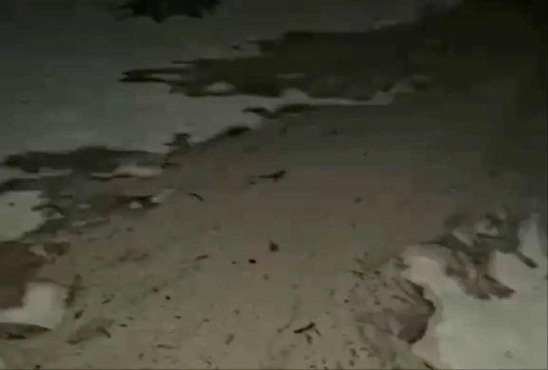 Videos difundidos en redes sociales muestran presuntas mangueras utilizadas para descargar aguas residuales