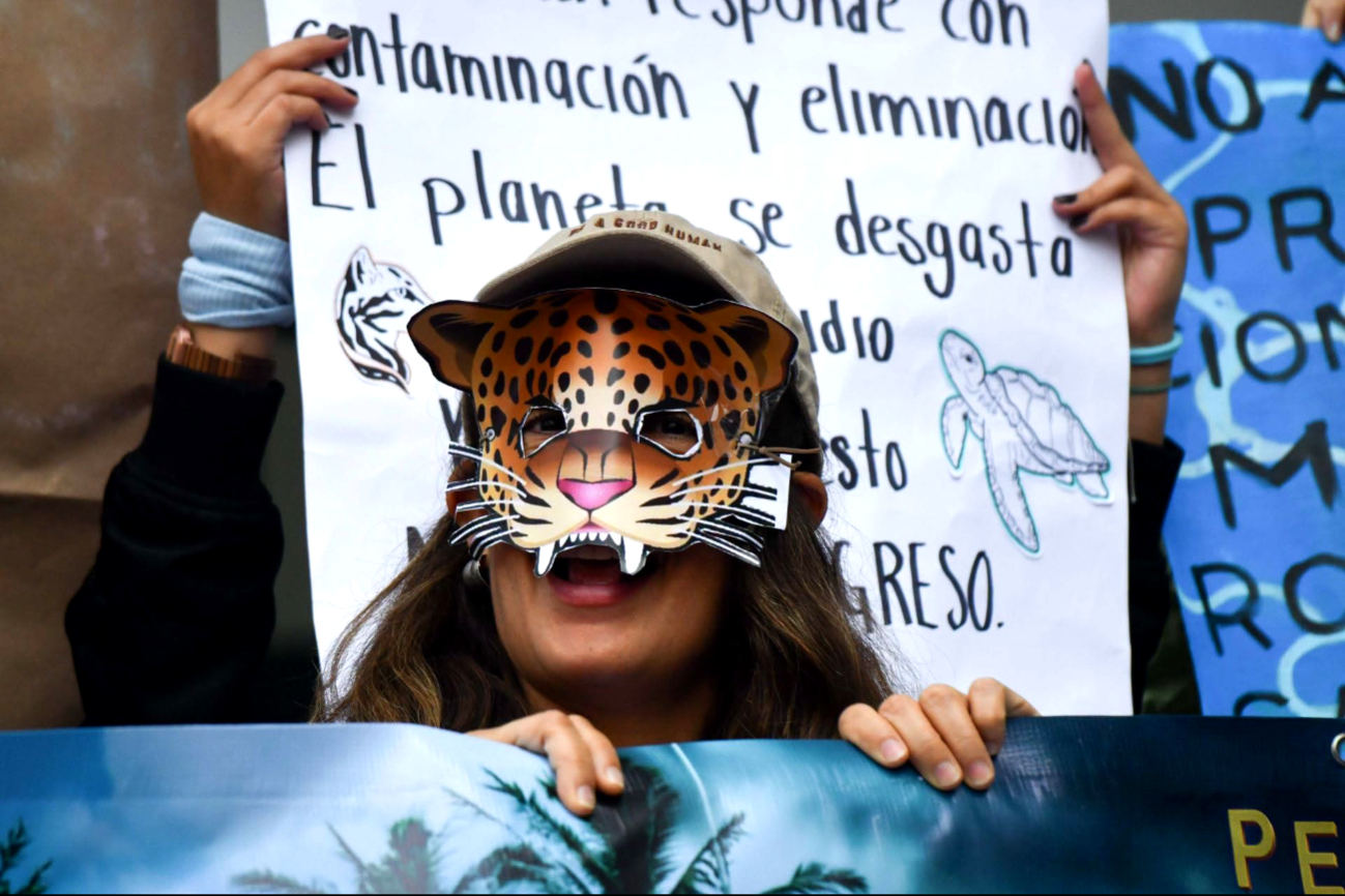 La autoridad ambiental consideró que el trámite fue concluido el tiempo y forma