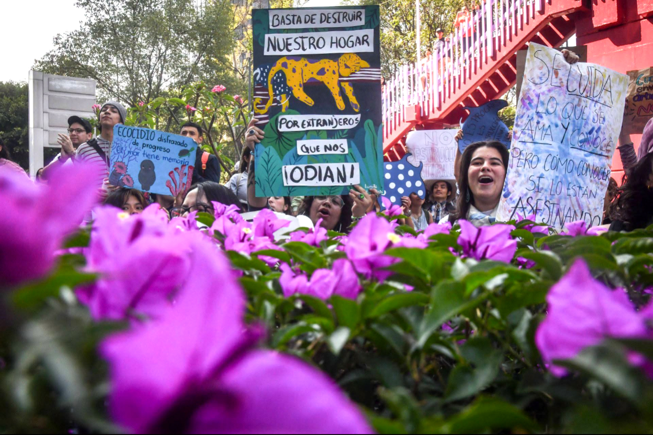 La Manifestación de Impacto Ambiental fue ingresada el 9 de diciembre