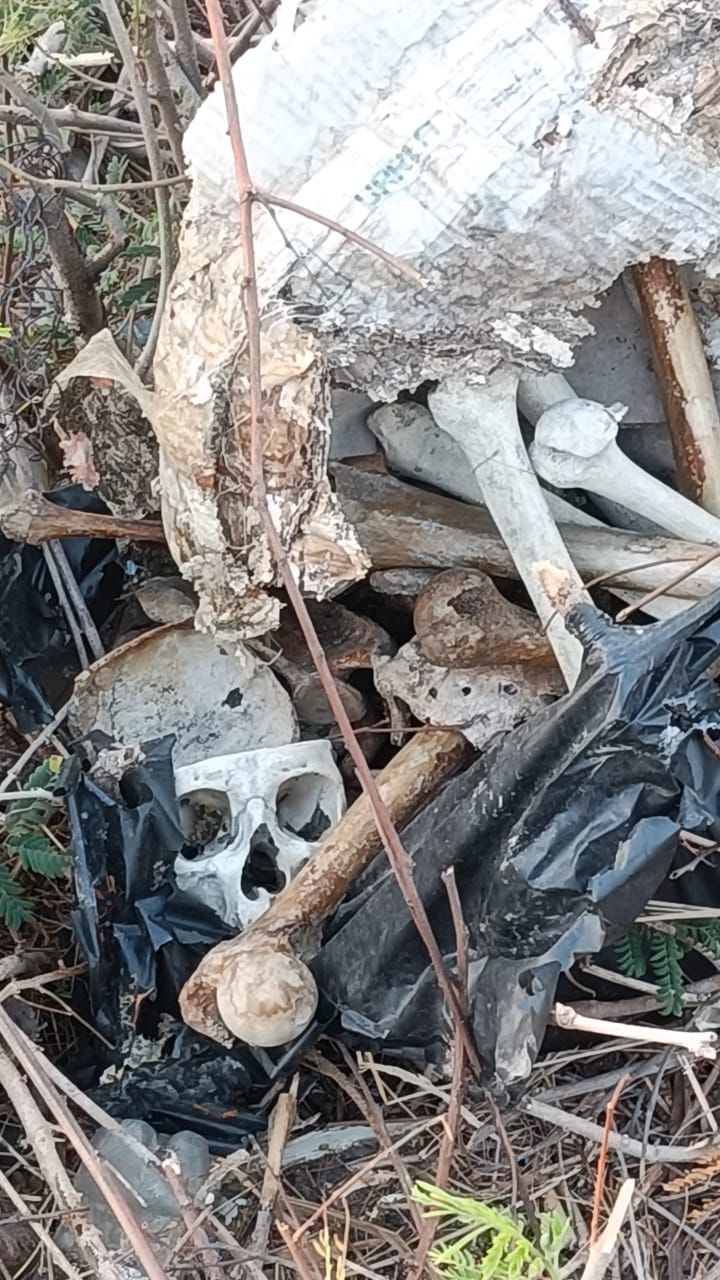 ¡Operativo de alto impacto! Investigan restos encontrados junto a la carretera