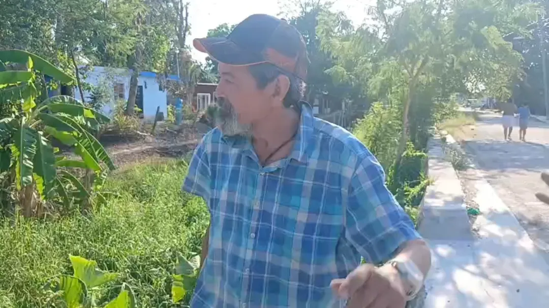 Ver Video