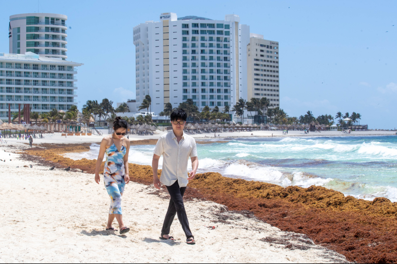 Pese a la presencia de la talofita, los turistas disfrutan de las bellezas del mar Caribe