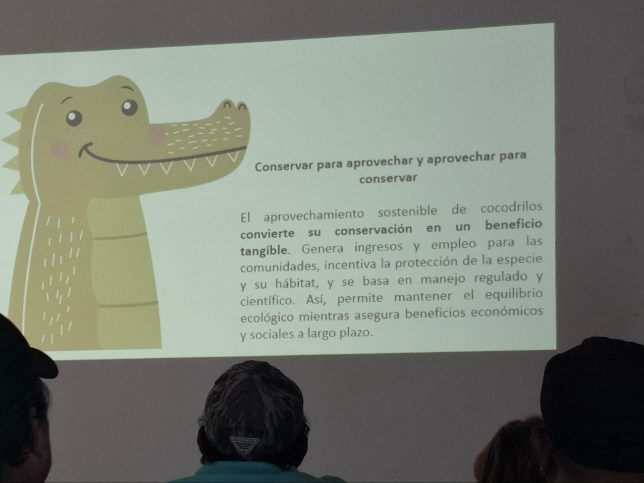 El proyecto contempla especies como venados, tepezcuintles, cocodrilos y pavos ocelados.