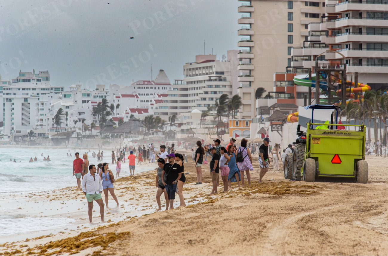 Los arenales de Benito Juárez, Isla Mujeres, Cozumel, Xcacel, Mahahual y la Riviera Maya resentirán la llegada de la talofita