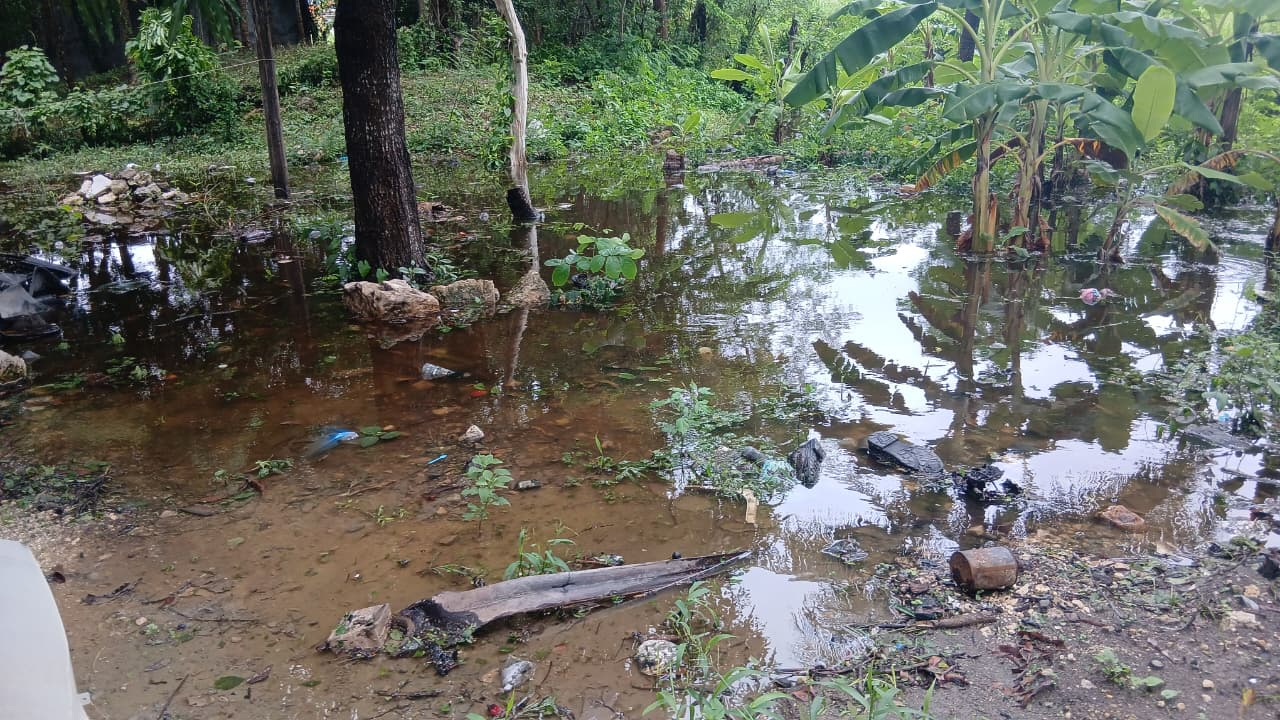 Habitantes reportaron patios y terrenos anegados tras las precipitaciones.