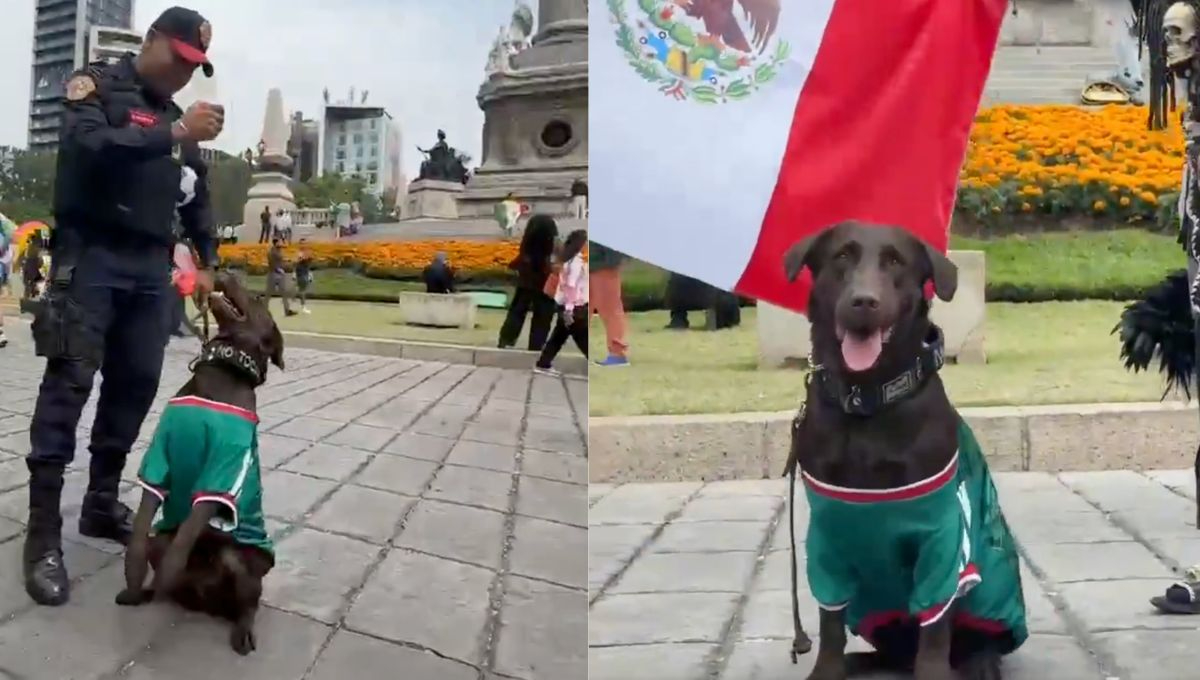 Perrita policía con la playera de la Selección Mexicana conquista a los aficionados: VIDEO