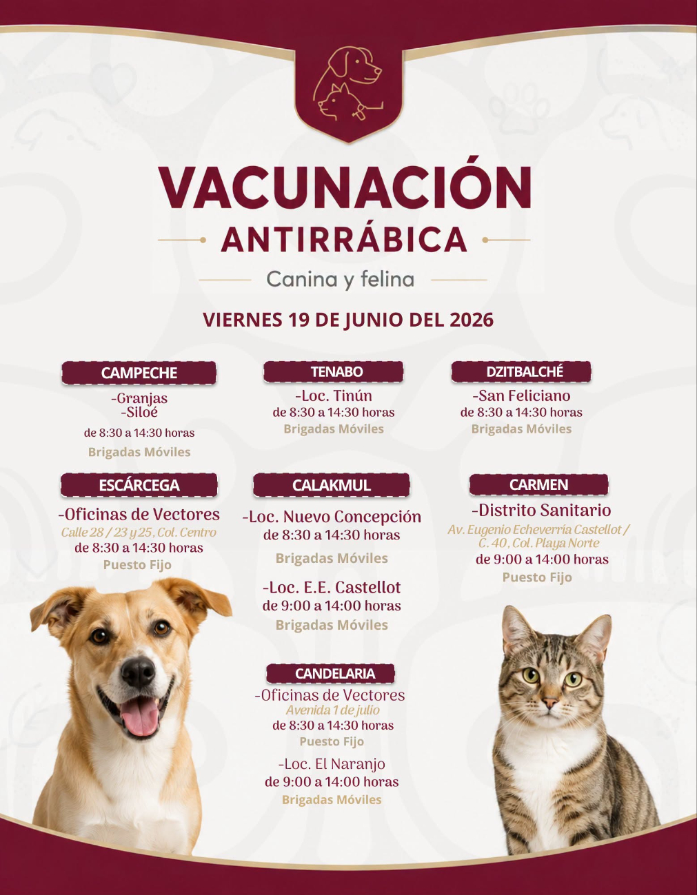 Activan brigadas móviles para vacunar perros y gatos en Campeche