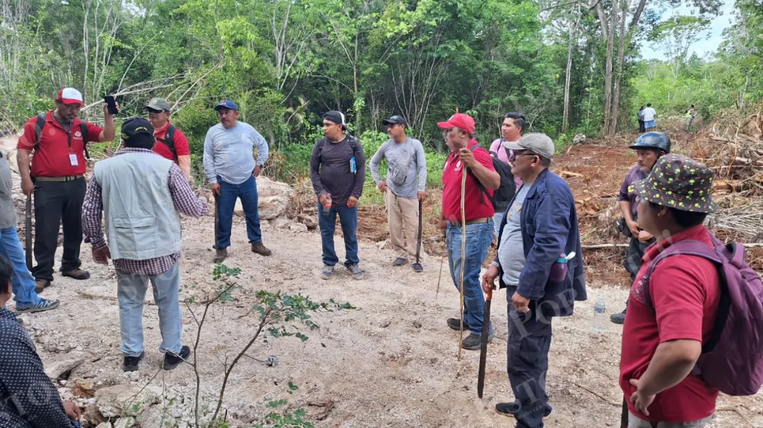 Buscan a abuelito extraviado en la selva de Felipe Carrillo Puerto