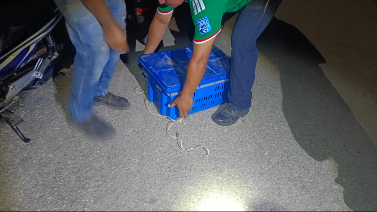 Elementos de Protección Civil y Medio Ambiente aseguraron al animal con ayuda de vecinos y lo resguardaron en una caja plástica.