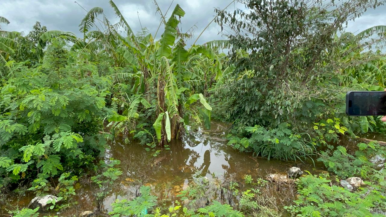 Productores piden apoyo para desaguar las parcelas inundadas.