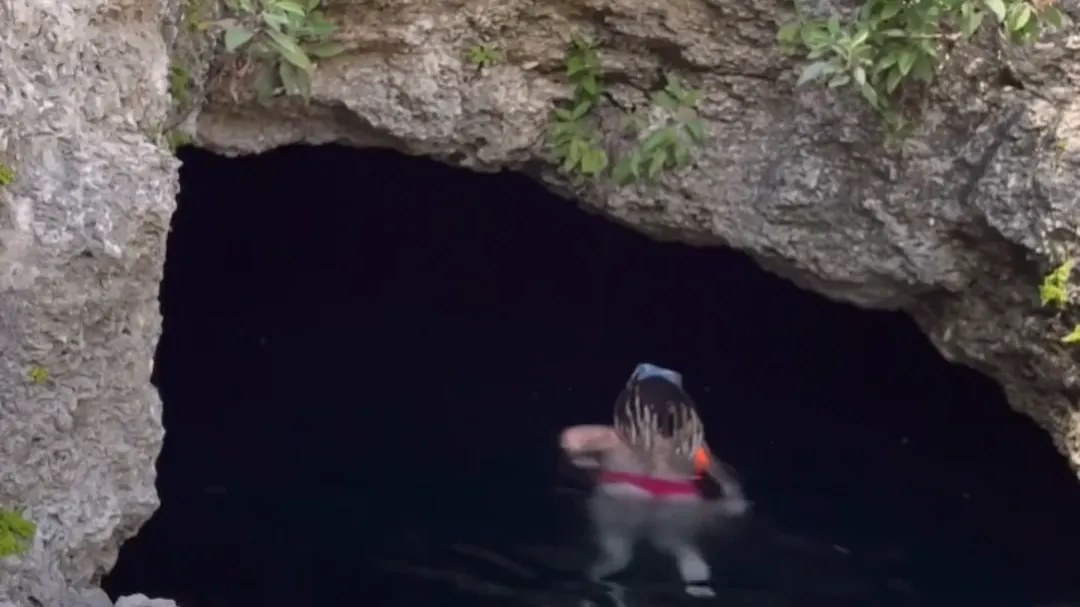 El sitio es el mismo donde se reportó la desaparición de una joven tras caer al agua el pasado viernes.