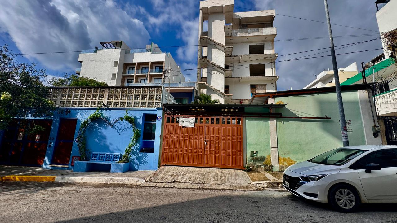 Activistas señalan que los árboles maduros deben ser considerados infraestructura natural