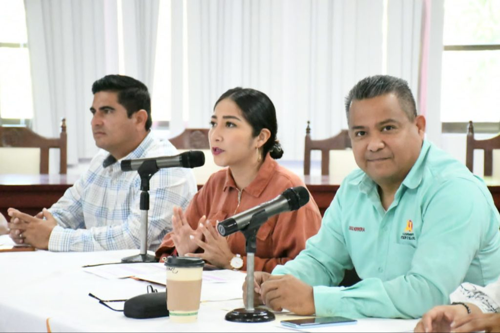 Señalaron analistas su escasa experiencia en la política