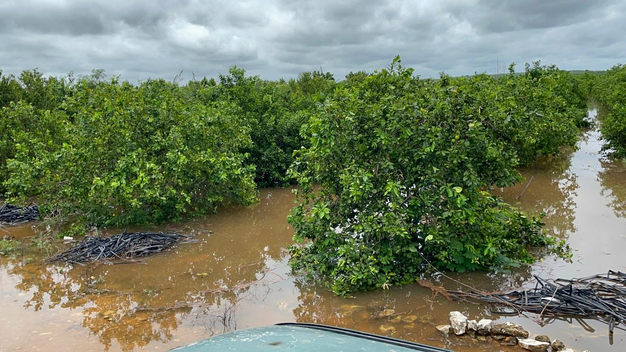 Productores de Hopelchén reportan graves afectaciones por inundaciones / Mauriel Koh
