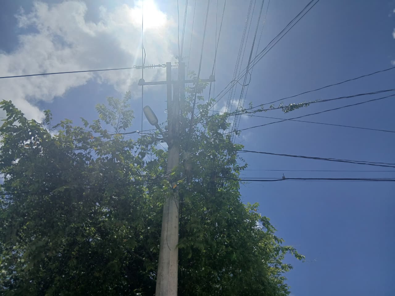 Señalan que ramas de árboles podrían estar afectando las líneas de la CFE.