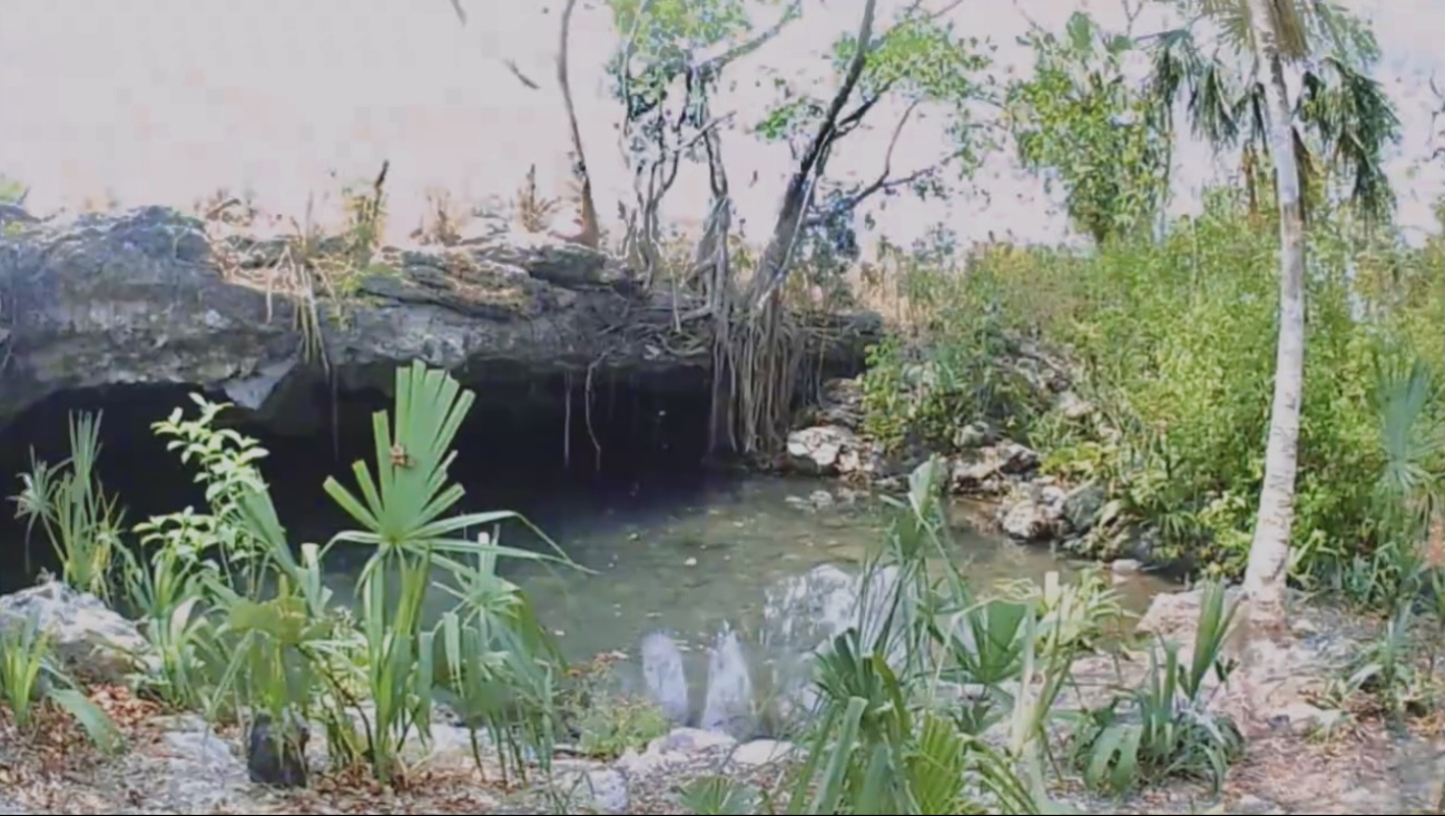 El Cenote Las Tetas destaca por sus formaciones rocosas y corrientes subterráneas.