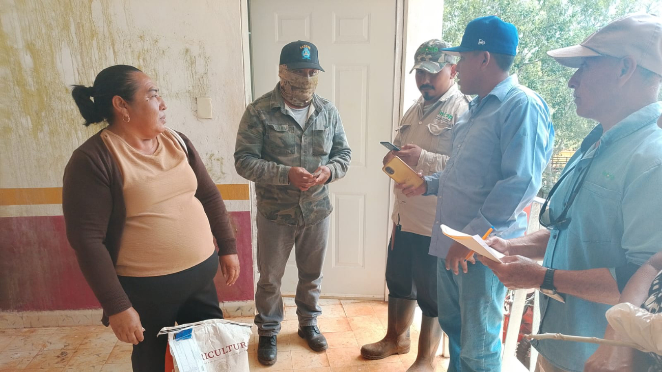 Sólo 7 de cada 100 agricultores peninsulares han adoptado plenamente las semillas mejoradas del Inifap