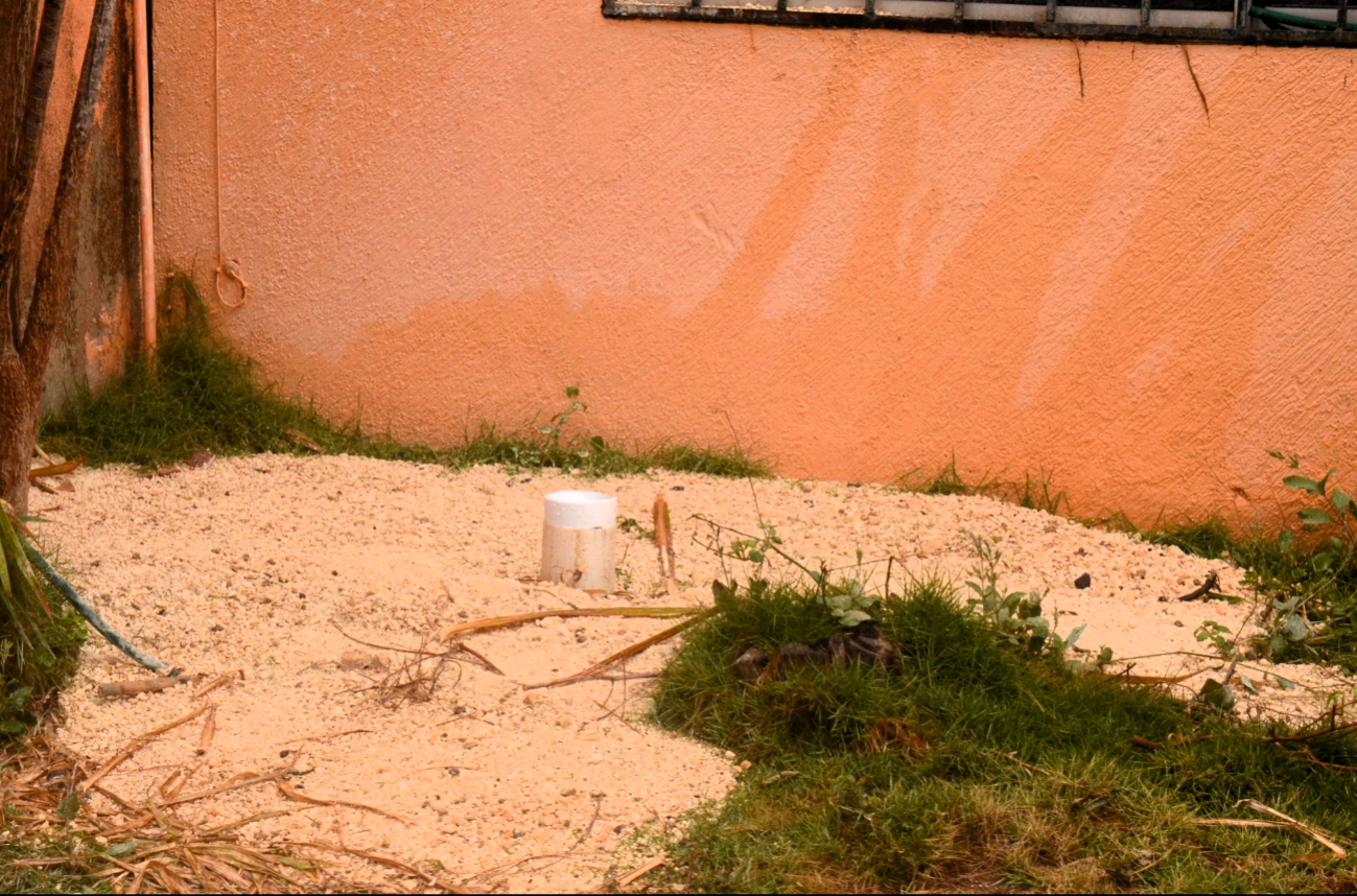 En Cozumel, la CAPA detectó al menos 40 conexiones irregulares