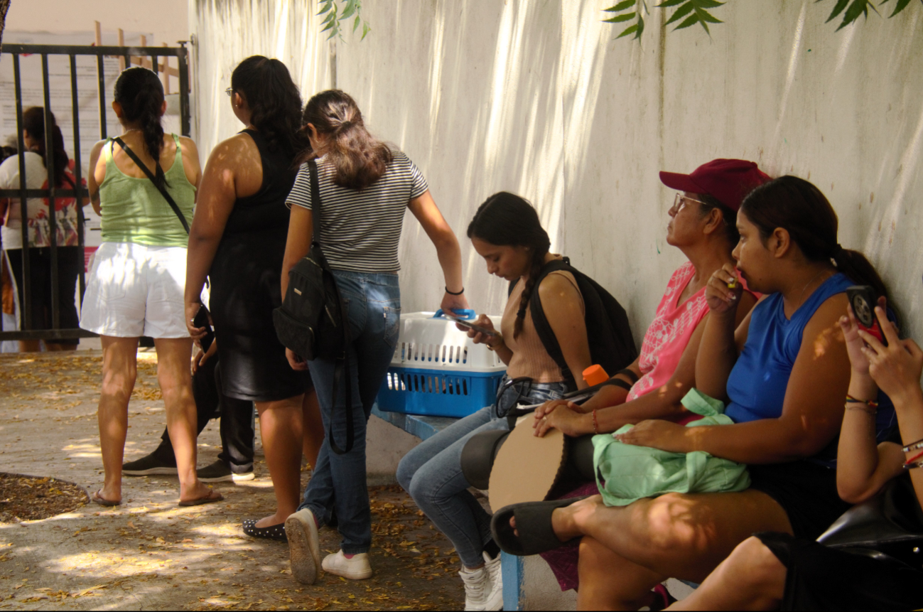 Ciudadanos destacaron la rapidez del proceso y el ahorro que representa la actividad