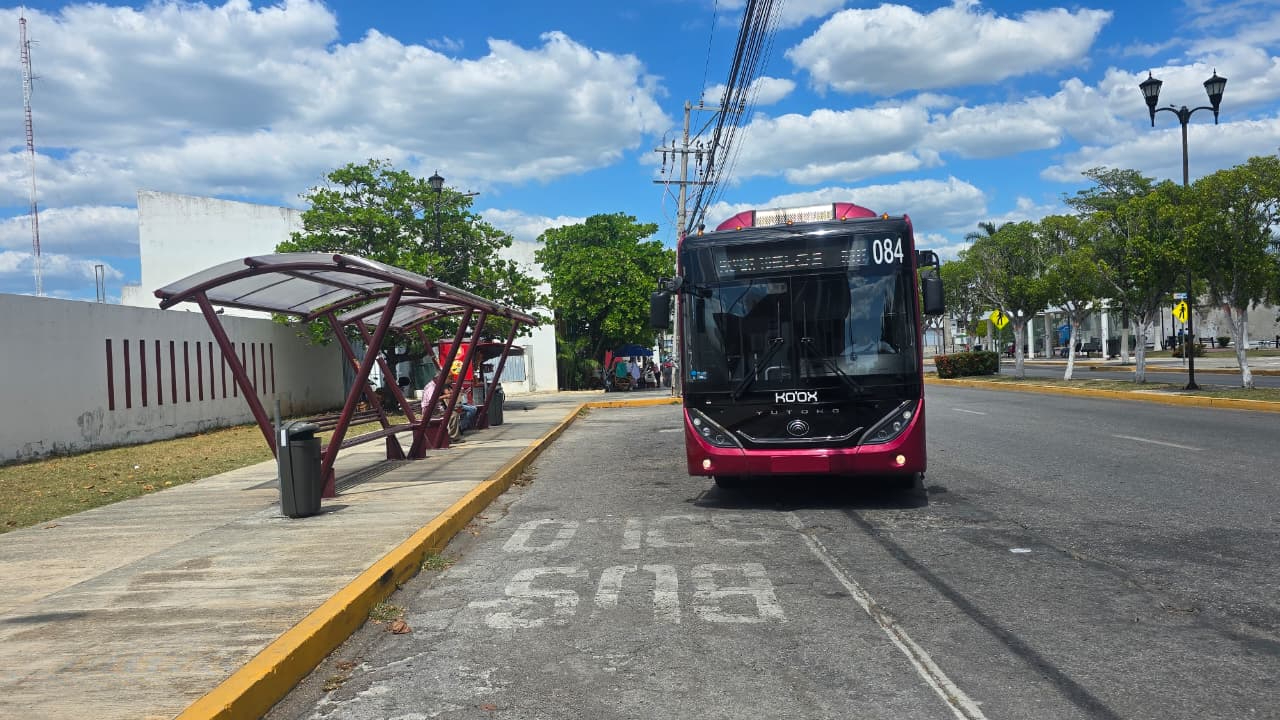 Este año se instalarán nuevos paraderos en distintos puntos de la ciudad.