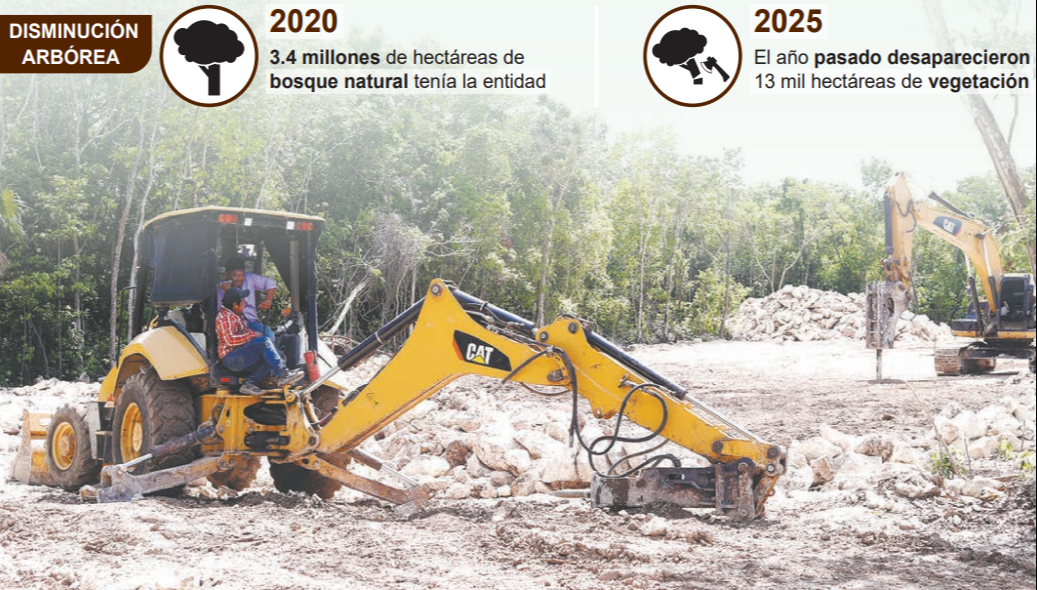 130 mil hectáreas menos: impacto ambiental en Quintana Roo
