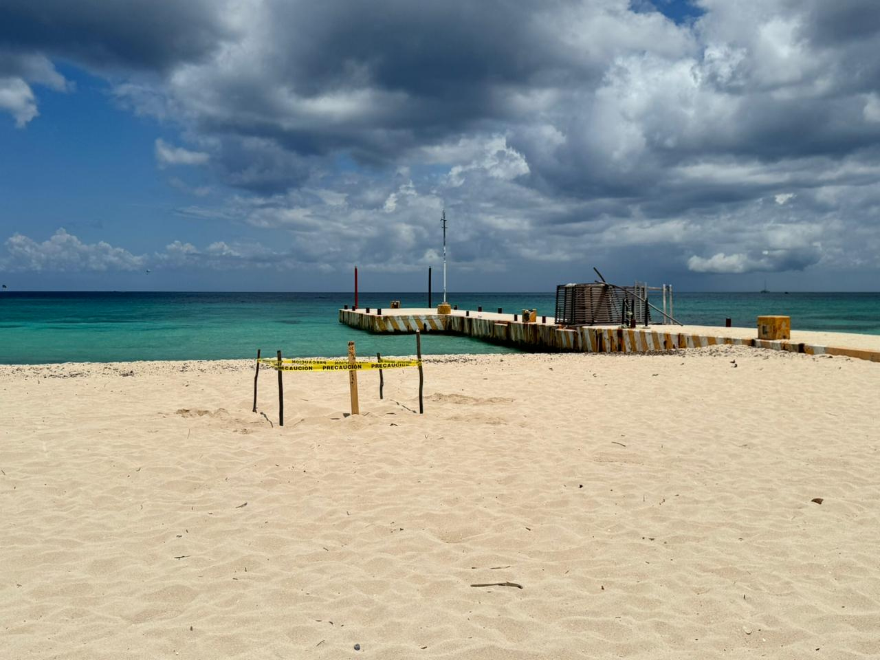 Ecologistas destacaron la importancia de proteger Playa Mía