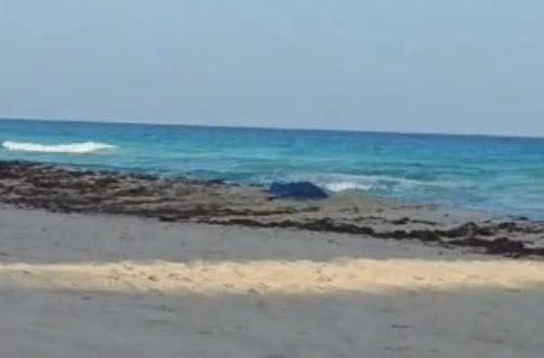 El hombre ingresó al mar junto con sus dos hijos.