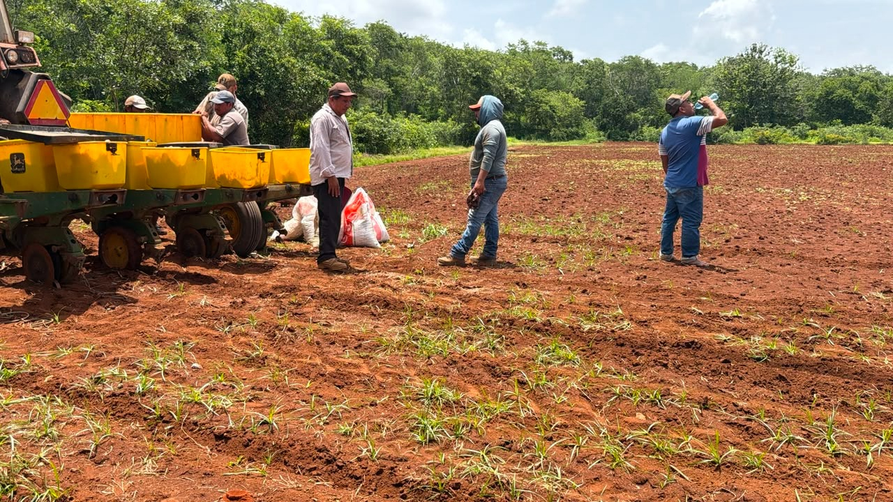 Los campesinos afirman que la siembra no puede detenerse porque el ciclo agrícola ya inició.