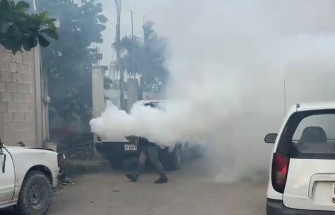 Protección Civil controla el enjambre con humo.