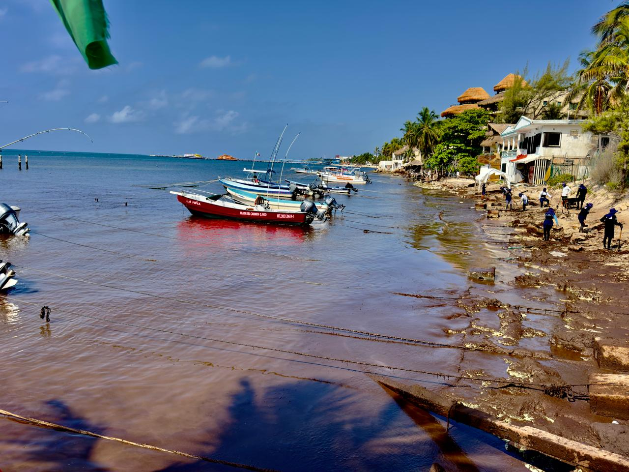 La descomposición de la talofita alteró la costa