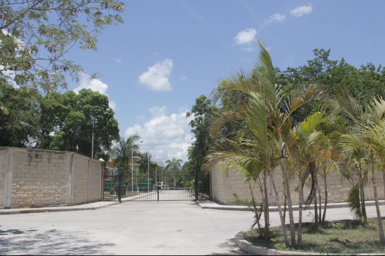 Escaparon de una brigada militar ubicada en Ramal Norte, en la Zona Continental de Isla Mujeres