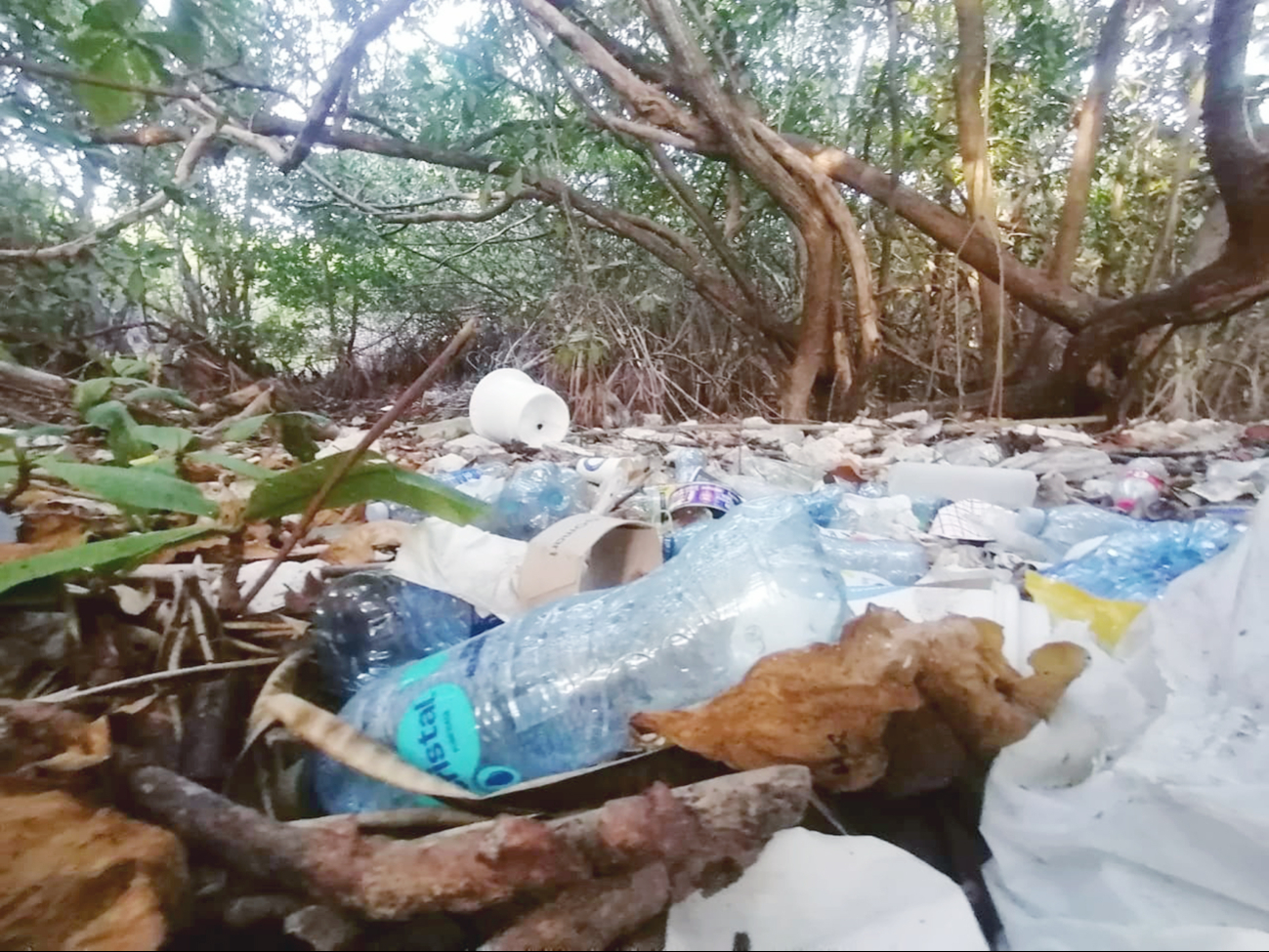 Habitantes exigen limpieza y vigilancia en ecosistema urbano